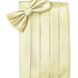 Banana Herringbone Cummerbund and Tie
