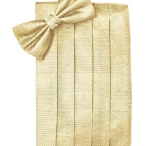 Buttercup Herringbone Cummerbund and Tie