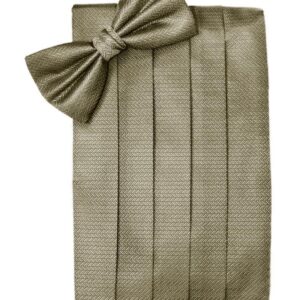 Champagne Herringbone Cummerbund and Tie