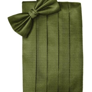 Fern Herringbone Cummerbund and Tie