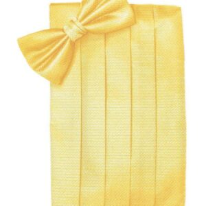 Sunbeam Herringbone Cummerbund and Tie