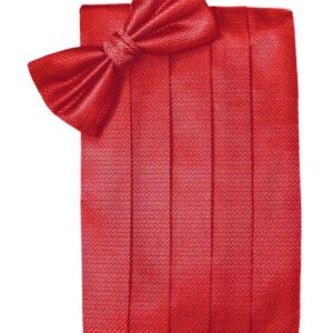 Watermelon Herringbone Cummerbund and Tie