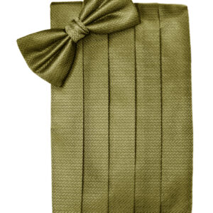 Gold Herringbone Cummerbund and Tie