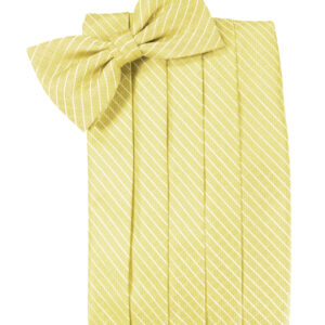 Buttercup Palermo Cummerbund and Tie