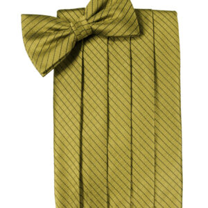 Gold Palermo Cummerbund and Tie