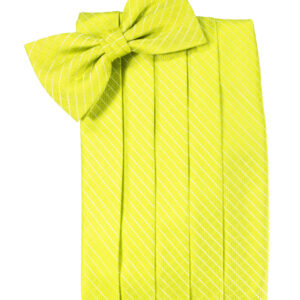 Lemon Palermo Cummerbund and Tie