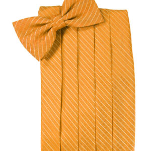 Mandarin Palermo Cummerbund and Tie