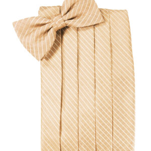 Peach Palermo Cummerbund and Tie