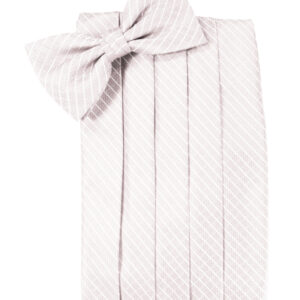 Pink Palermo Cummerbund and Tie