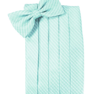 Pool Palermo Cummerbund and Tie