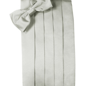 Platinum Silk Cummerbund and Tie