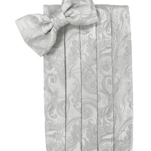 Platinum Tapestry Silk Cummerbund and Tie