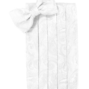 White Tapestry Silk Cummerbund and Tie