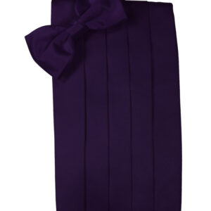 Amethyst Solid Satin Cummerbund and Tie