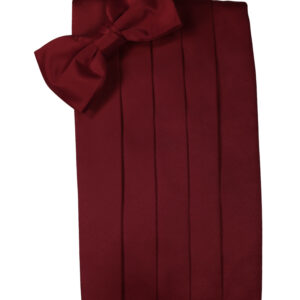 Apple Solid Satin Cummerbund and Tie