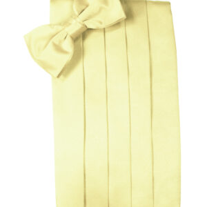 Banana Solid Satin Cummerbund and Tie