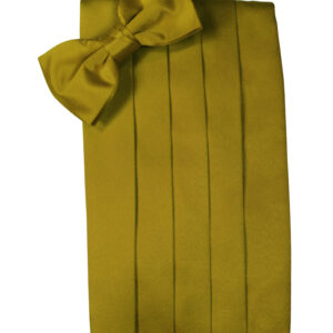 New Gold Solid Satin Cummerbund and Tie