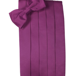 Sangria Solid Satin Cummerbund and Tie