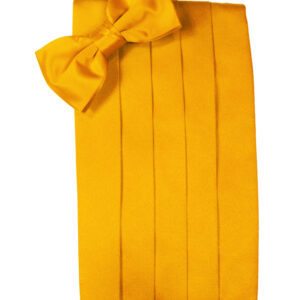Tangerine Solid Satin Cummerbund and Tie