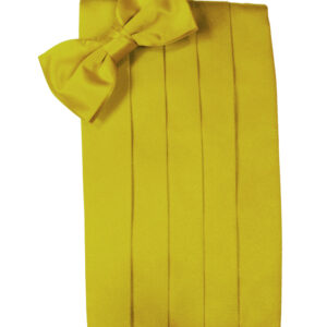 Willow Solid Satin Cummerbund and Tie
