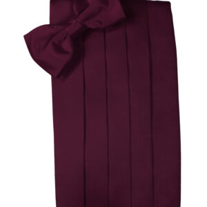 Wine Solid Satin Cummerbund and Tie