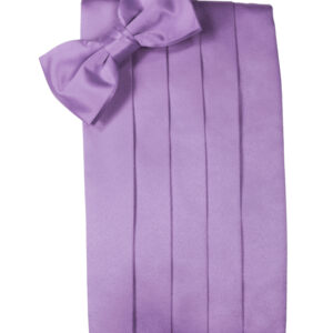 Wisteria Solid Satin Cummerbund and Tie