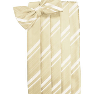 Bamboo Striped Cummerbund and Tie