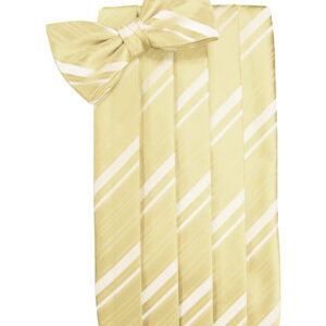 Banana Striped Cummerbund and Tie