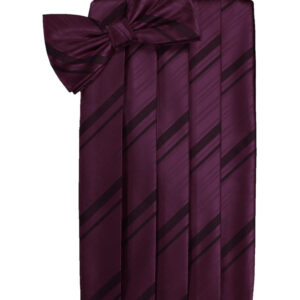 Berry Striped Cummerbund and Tie