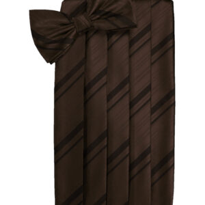 Chocolate Striped Cummerbund and Tie