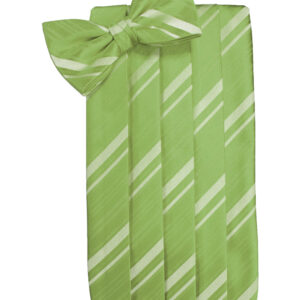 Clover Striped Cummerbund and Tie
