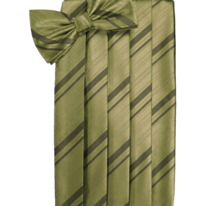 Fern Striped Cummerbund and Tie