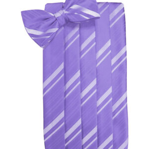Freesia Striped Cummerbund and Tie