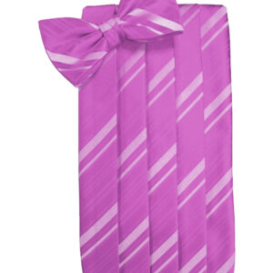 Fuchsia Striped Cummerbund and Tie
