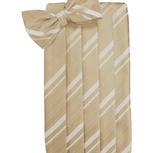 Golden Striped Cummerbund and Tie