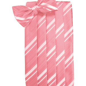 Guava Striped Cummerbund and Tie