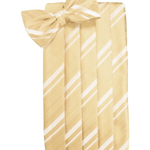 Harvest Maize Striped Cummerbund and Tie