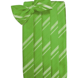 Kelly Striped Cummerbund and Tie