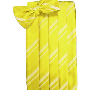 Lemon Striped Cummerbund and Tie