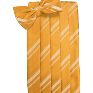Mandarin Striped Cummerbund and Tie