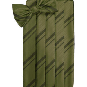 Moss Striped Cummerbund and Tie