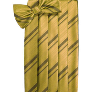 New Gold Striped Cummerbund and Tie