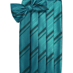 Oasis Striped Cummerbund and Tie