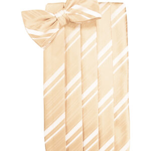 Peach Striped Cummerbund and Tie