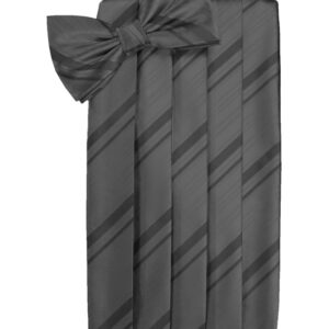 Pewter Striped Cummerbund and Tie