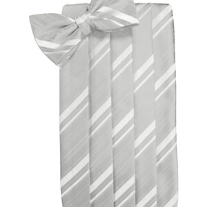 Platinum Striped Cummerbund and Tie