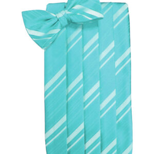 Pool Striped Cummerbund and Tie