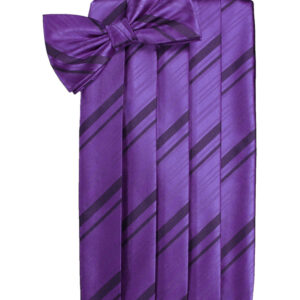 Purple Striped Cummerbund and Tie