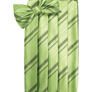 Sage Striped Cummerbund and Tie