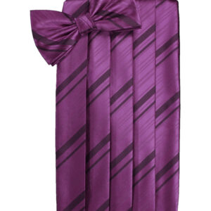Sangria Striped Cummerbund and Tie